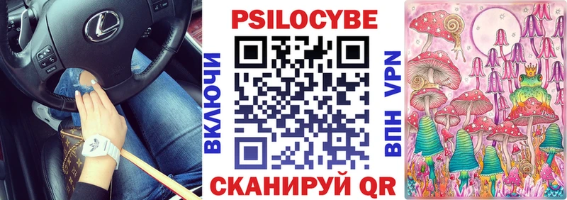 купить   Заозёрск  Галлюциногенные грибы Cubensis 